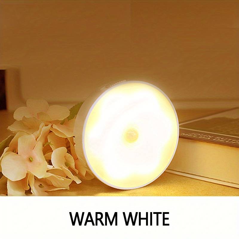 LED indukciona lampa 1+1 GRATIS