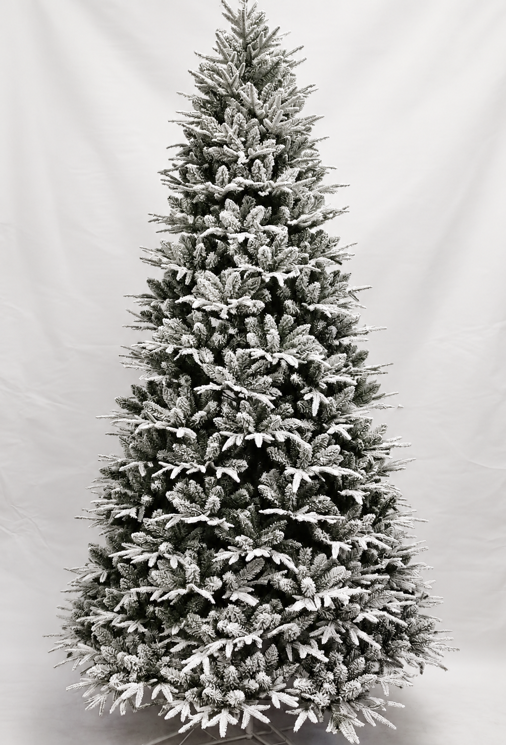 Premium Snežna jelka