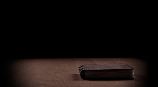 Knjiga-lampa USB