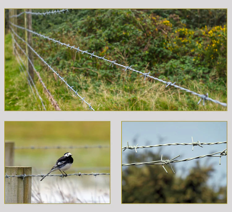 Bodljikava Žica 100 m – 2 mm (Pocinčani Čelik)