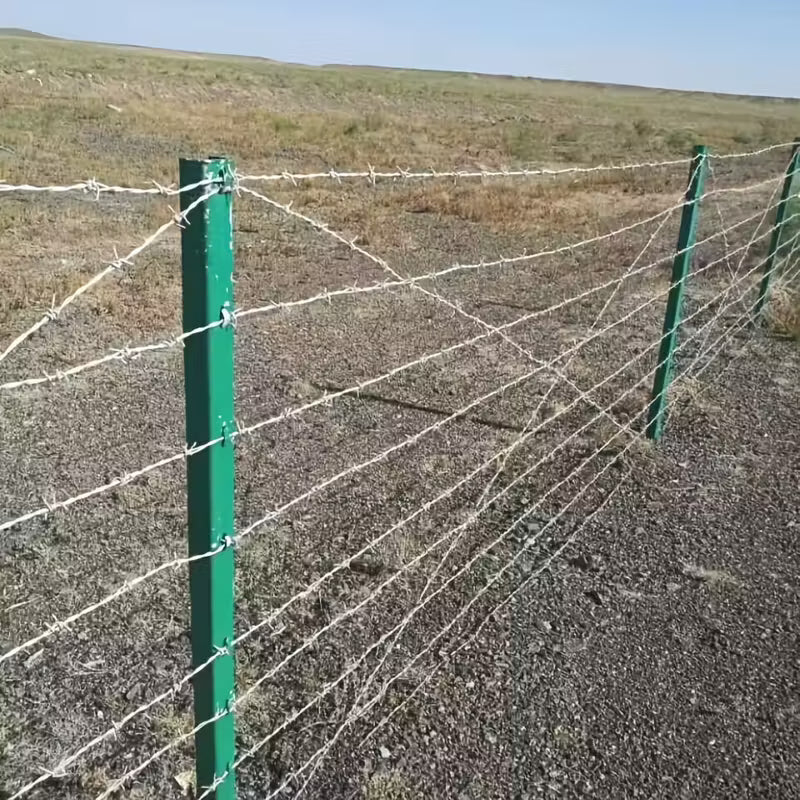 Bodljikava Žica 100 m – 2 mm (Pocinčani Čelik)